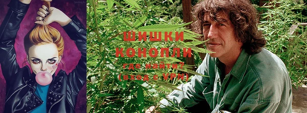 спайс Нефтекумск