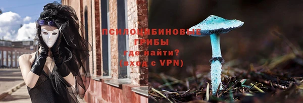 apvp Нея