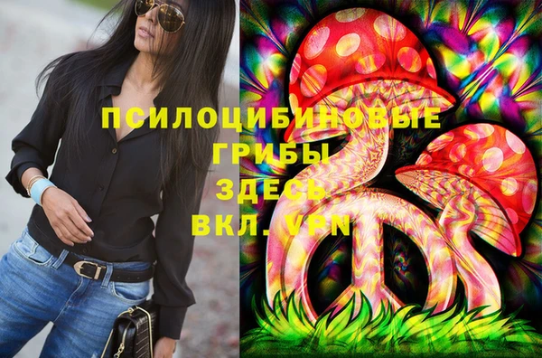 apvp Нея