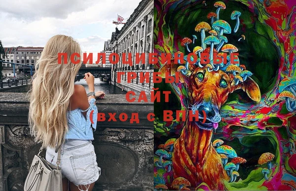apvp Нея